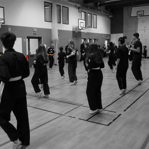 Cours Viet Vo Dao Club Sportif de Charonne