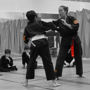 Cours Viet Vo Dao Club Sportif de Charonne