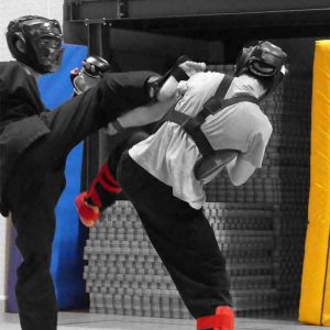 combat avec protection - viet vo dao