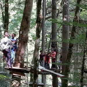 accrobranche graydon