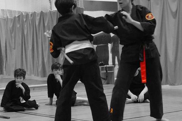 Maya Byham, professeur de Viet Vo Dao